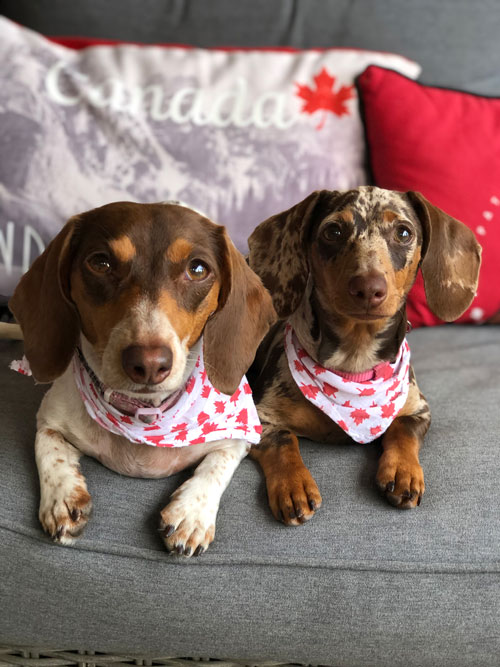 Good Canadian Wieners.