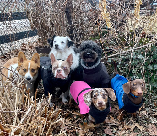 Coats are on and these guys are ready to play